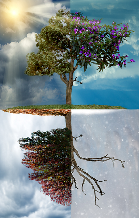 MCC Silver Medal - Open Colour - Seasons In The Sun - Louisa Van Niekerk - Scottburgh Camera Club