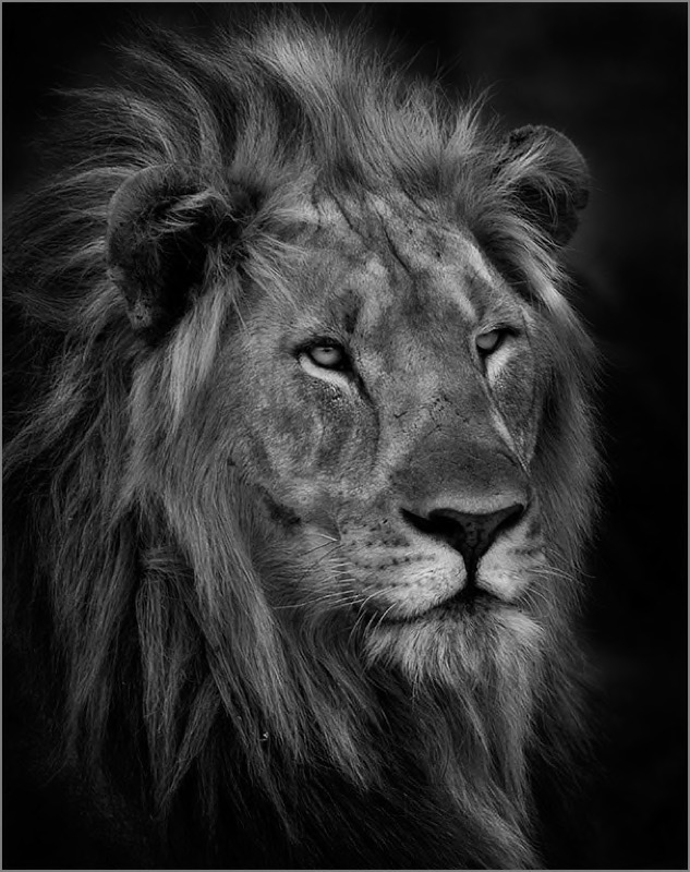 Sandton Photo Soc Bronze Medal- Runner Up -Waiting - Francois Oosthuysen - Vereeniging