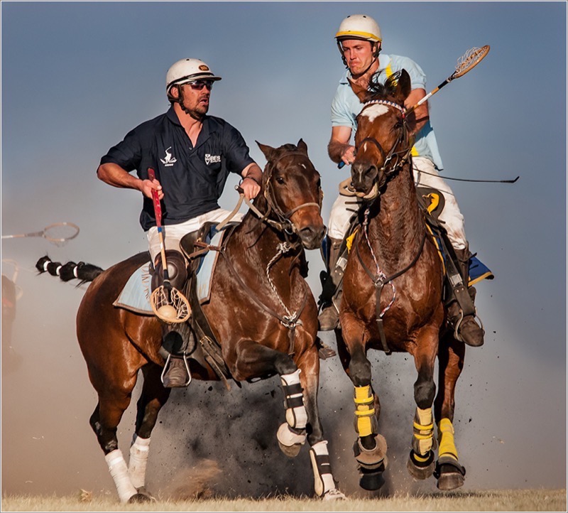 BFK Bronze Medal - Open Colour - Bertie Botha - Polo cross - Bethal