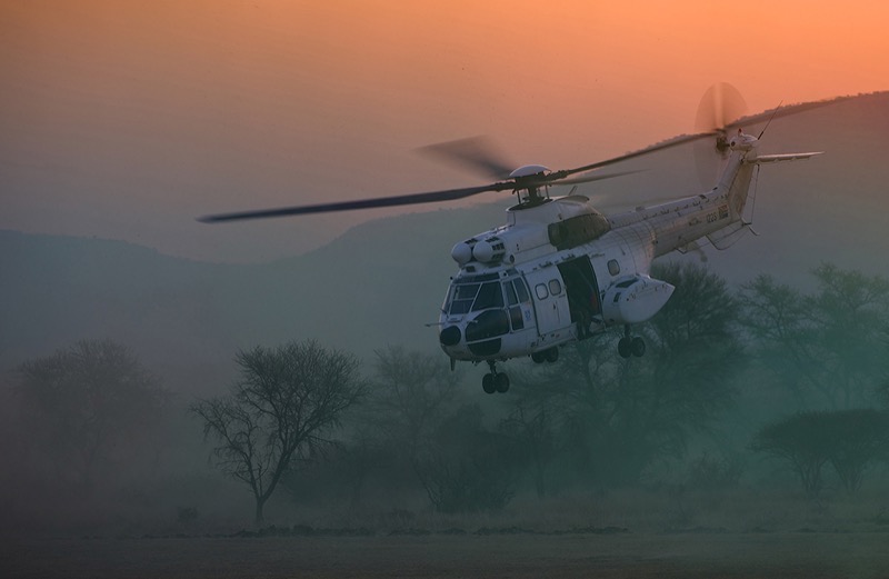 Springs bronze medal - Aviation - UN Oryx - Reiner Burk - Edenvale