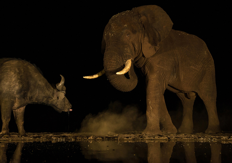 Stand Off  - Shirley Gillit