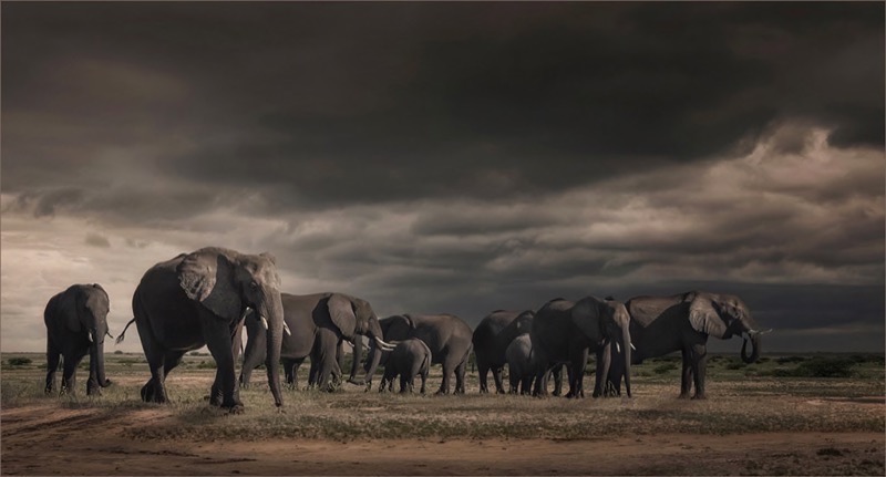 FIAP Gold   TAFKLUB Gold-Nature-Thunder below and above-Bruna Mentrup-Nortje-SSCC-SA