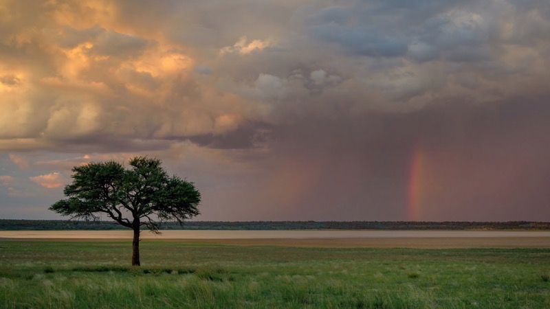 TAFKLUB Bronze-Scapes-Mabua Pan-Christo Giliomee-Tafelberg-SA