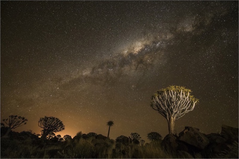 TAFKLUB Gold-Scapes-Quiver milky way-Dewald Tromp-Midlens-SA