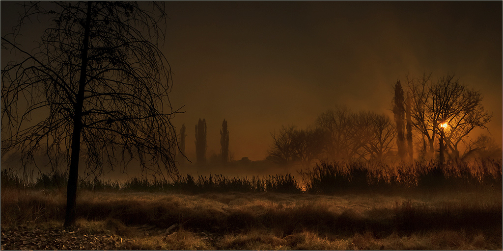 PSSA Silver Medal-Scapes Colour-misty sunrise-Johan Brits-Vanderbijlpark