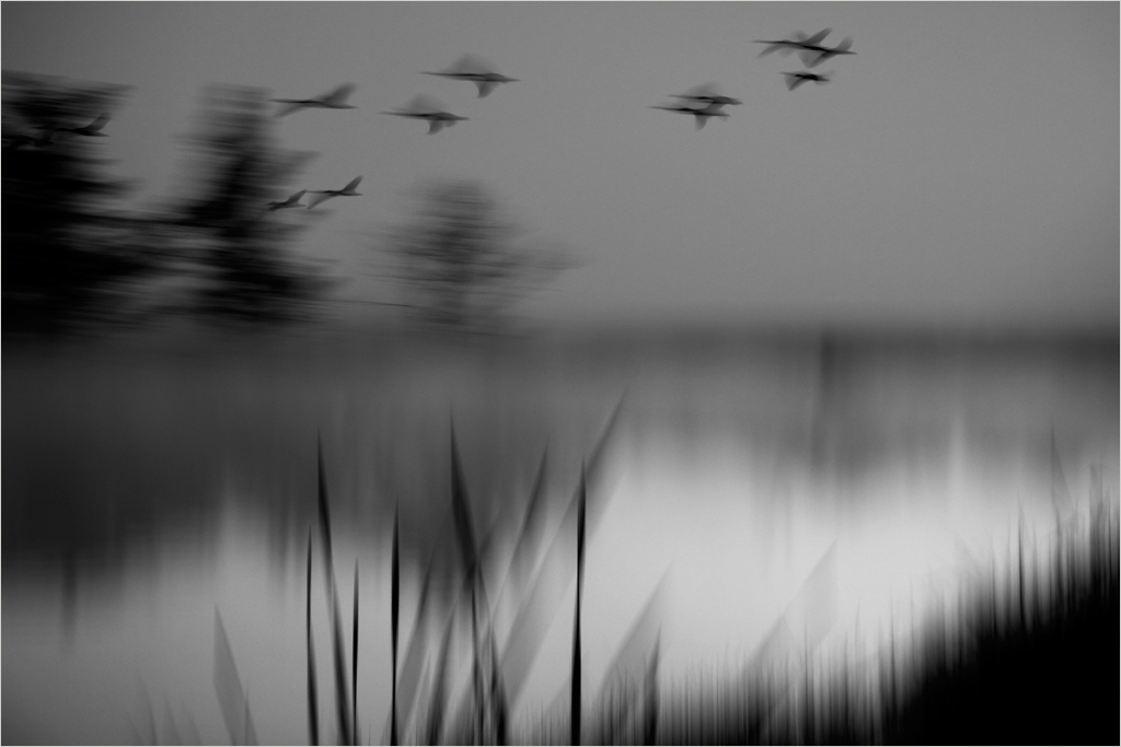 VPS Club Silver Medal-Open Mono-Morning motion-Leon Jacobs-VPS