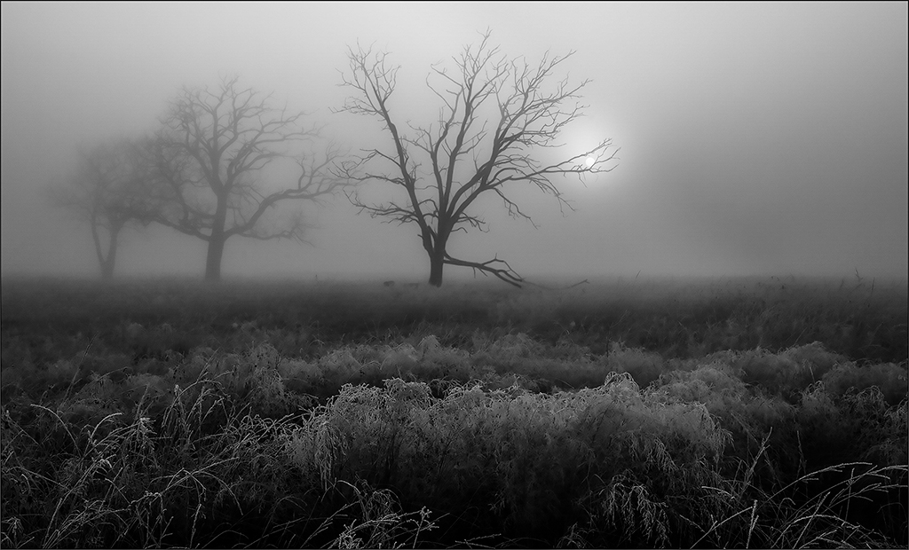 VPS Club Silver Medal-Scapes Mono-Een koue oggend-Johan Drotsky-Bethal