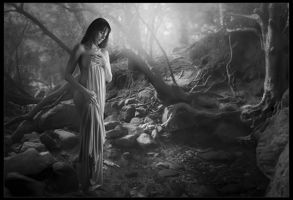 Beachcombers Silver Human Portrait Mono -Maiden in the Forest Martin Barber Southern Suburbs
