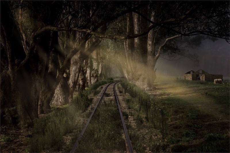WRPC Silver Medal - Scapes - Abandoned and Forgotten - Chris Joubert - Randburg