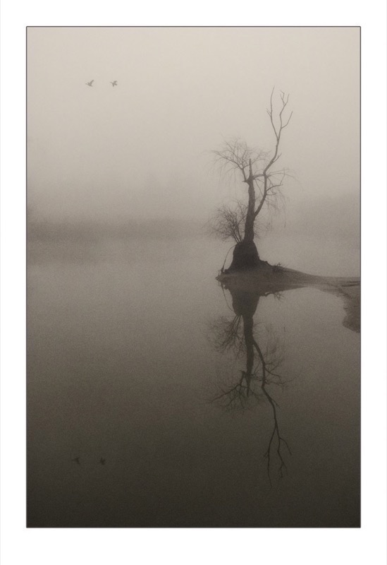 PSSA Gold - Best Panel Prints Open Colour - Solitaree - Kim Stevens - Cape Town