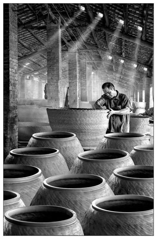 PSSA Gold - Best Panel Prints Open Monochrome -POTTER - Ching yan Brian Yu - Hong Kong