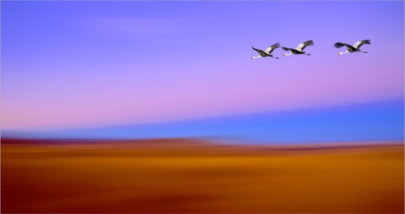 CCC Silver Medal -  Landscapes - Colour - Pan O Rama - Rhona Sellschop - Hibiscus Coast Photographic Society