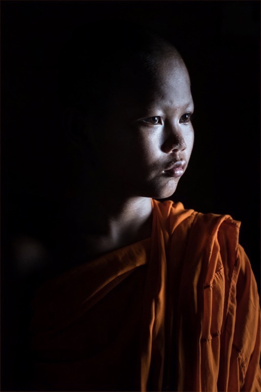 FIAP Gold Medal - Open - Colour Prints - Fever - Kim Stevens - South Africa