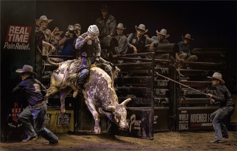 PSSA Gold Medal - Open Colour - And then all Hell breaks loose - Dries Fourie - South Africa