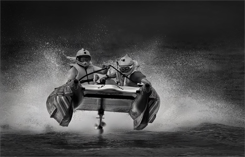 PSSA Silver Medal -  Monochrome Open - Flying  - Dries Fourie - Vereeniging Photographic Society