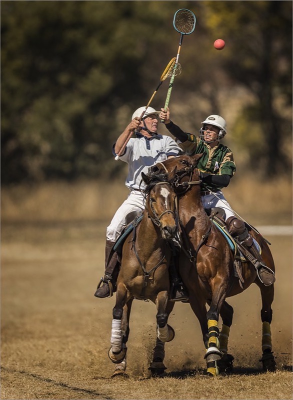 Krugersdorp Camera Club Medal-PJ & Sport-Polocrosse  Walkerville  01-Russell James-Southern Suburbs