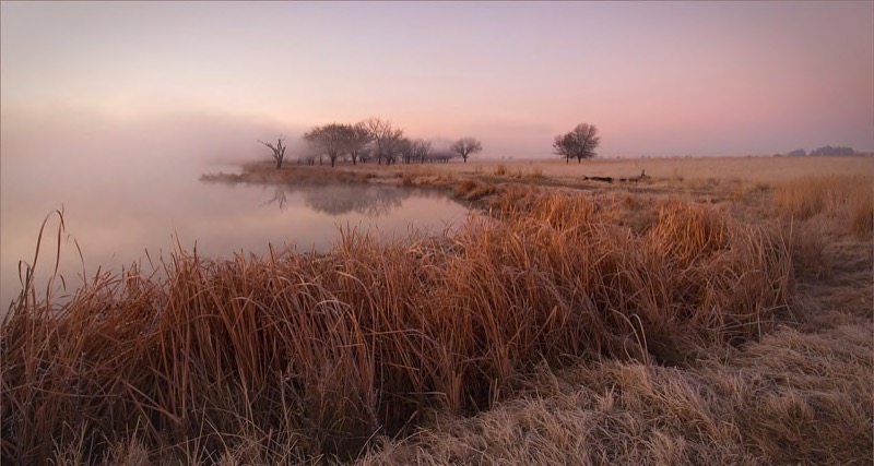 PSSA Silver Medal-Scapes Colour-ysige oggend-Gerrie Labuschagne-Southern Suburbs Camera Club