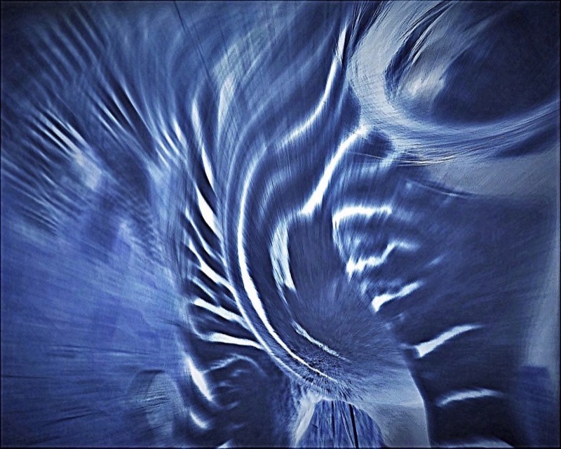PSSA Silver Medal-Abstract - Colour-Zebras of the blue planet-Philip Botha-Midrand Camera Club