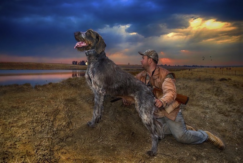 PSSA Silver-Dogs and Cats-My Master-Dries Fourie-Vereeniging Photographic Society