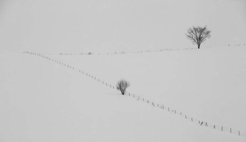 PSSA Silver-Open Monochrome-Zen-Nerissa Naidoo-Hibiscus Coast Photographic Society