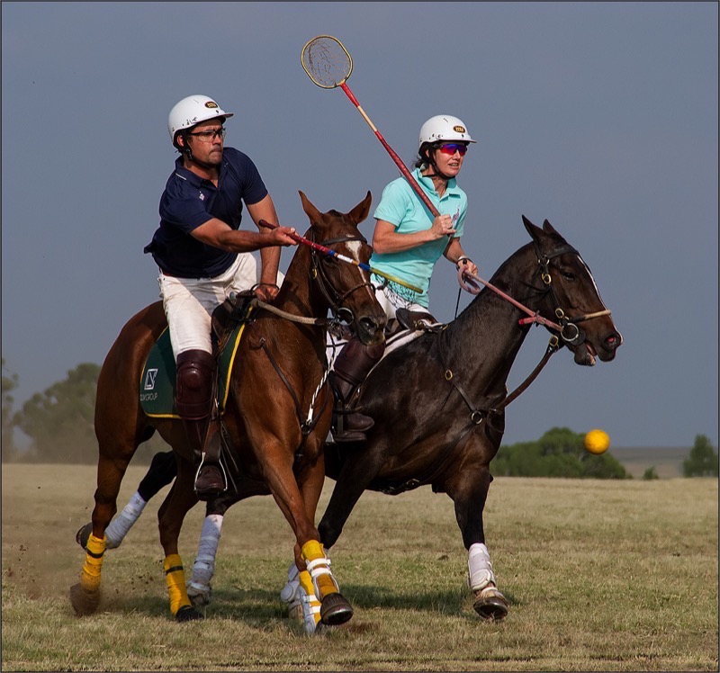 PSSA Bronze - Open Colour - polo cross - JG Drotsky - Bethal