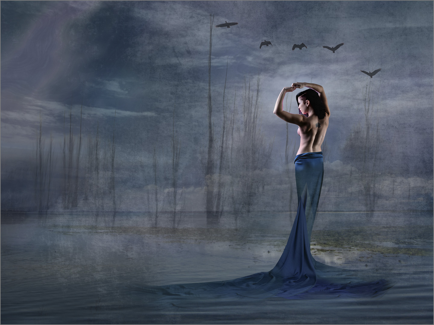 Laetitia Kenny Waterside