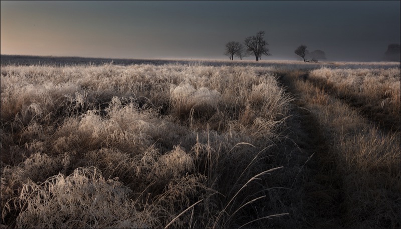 PSSA Silver Medal - Scapes - misty road -  Jannes Drotsky - Bethal