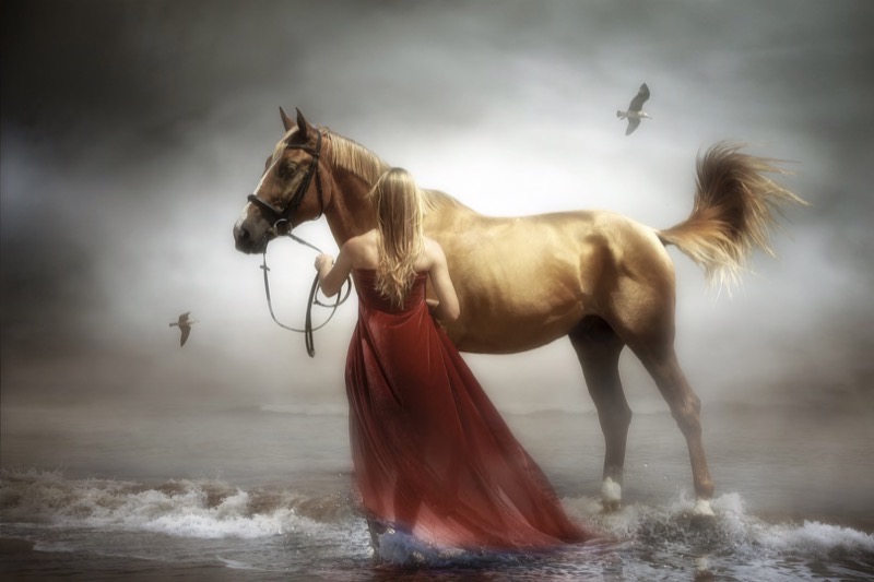 PSSA Silver Medal - Open Colour - You are in my soul - Charlaine Gerber - Photo Challenge Camera Club