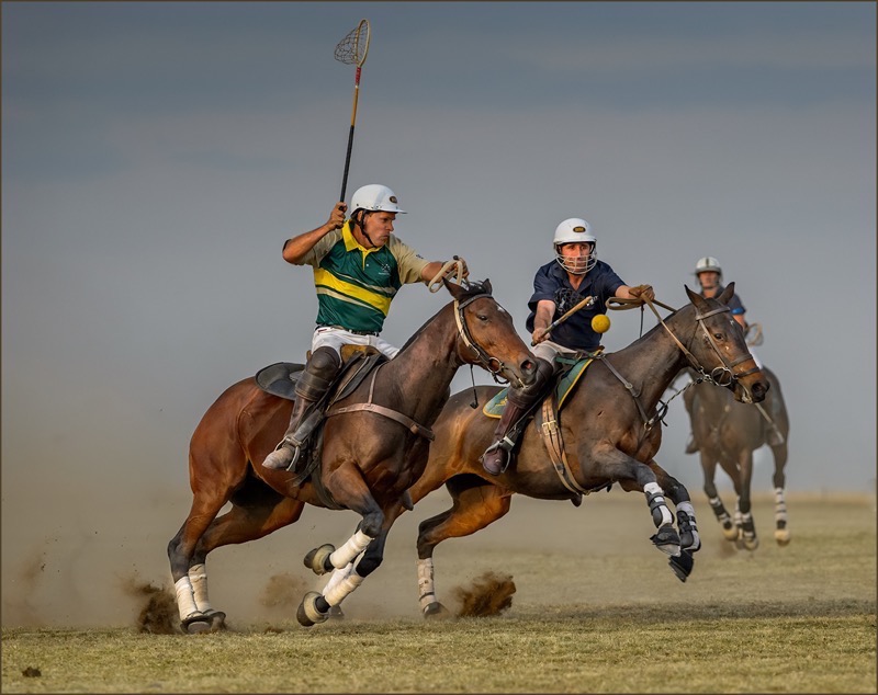 VFV Silver Medal - Sport Colour - POLOCROSS 18.13 - Leon Venter - Bethal Fotografie Klub