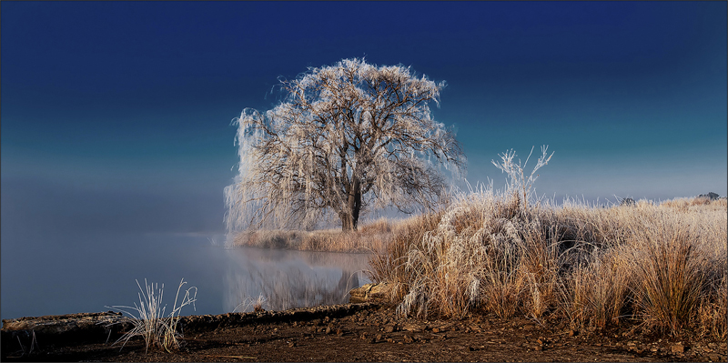 TAF Medal-Scapes-A whiter shade of pale-Johan Drotsky-Bethal Fotografie Klub