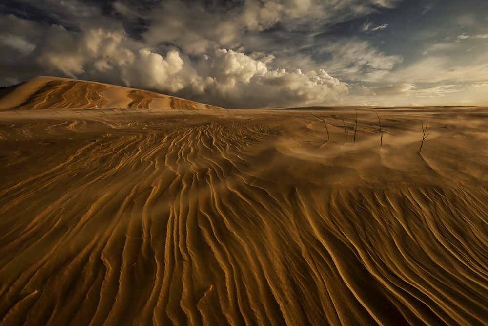 5th PSSA National Salon PSSA Bronze Medal Open Colour Minutes Before the Storm Julia Mukheibir Port Elizabeth Camera Club