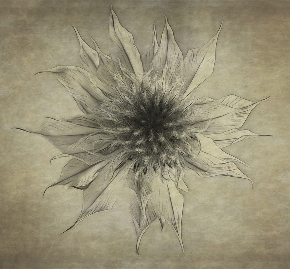 PECC Silver PE - Creative Colour - bbridge 112 - Gretha van Heerden - Port Elizabeth Camera Club