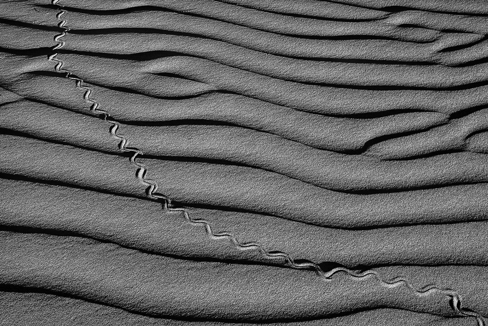 PECC Silver PE - Open Monochrome - Track on Sandwaves - Anette Reimers - Port Elizabeth Camera Club