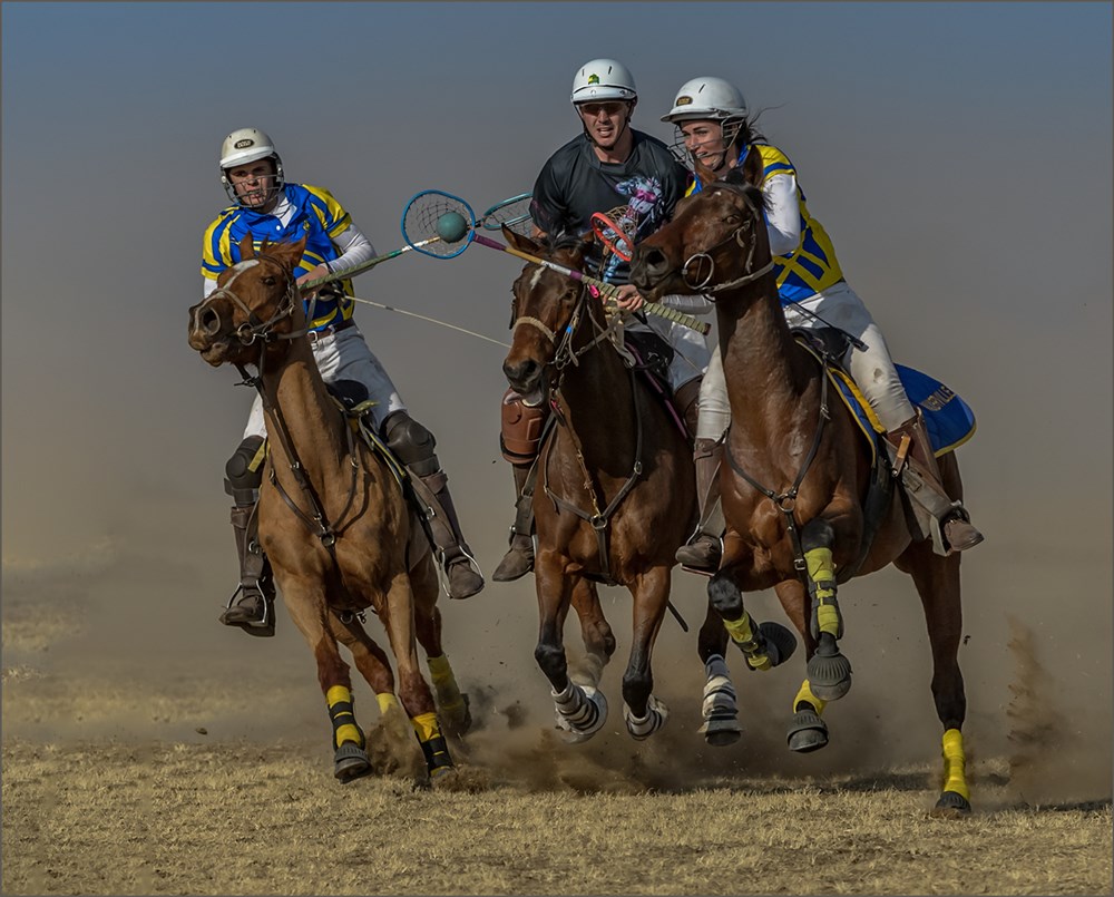 HCPS Silver Medal - Open colour - Leon Venter - POLOCROSS 18.