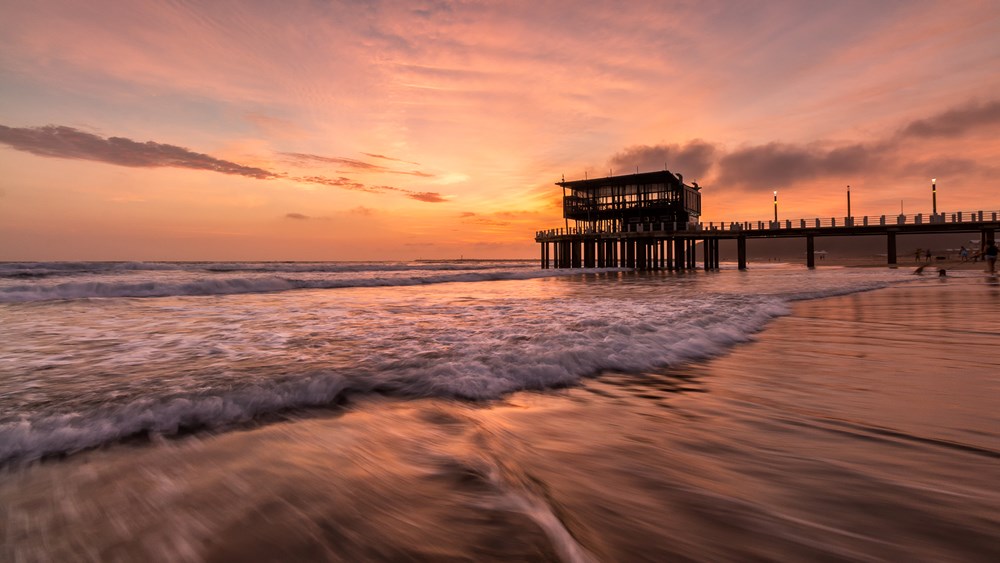 HCPS Silver Medal - Scapes - Conrad Kelsey - Moyo