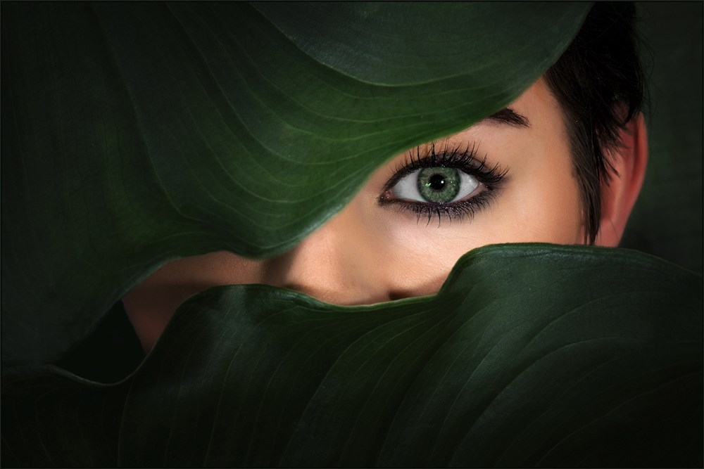 PSSA Silver Medal - Portraits Human and Animals - Alet Visagie - Mysterious green eye