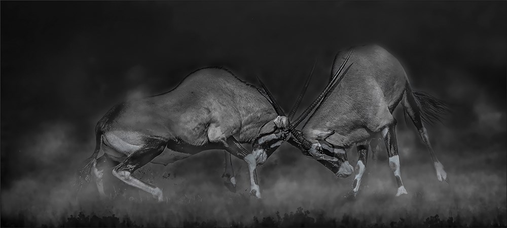 PSSA Silver Medal - Open Mono - veg tot die dood - Jannes Drotsky - Bethal