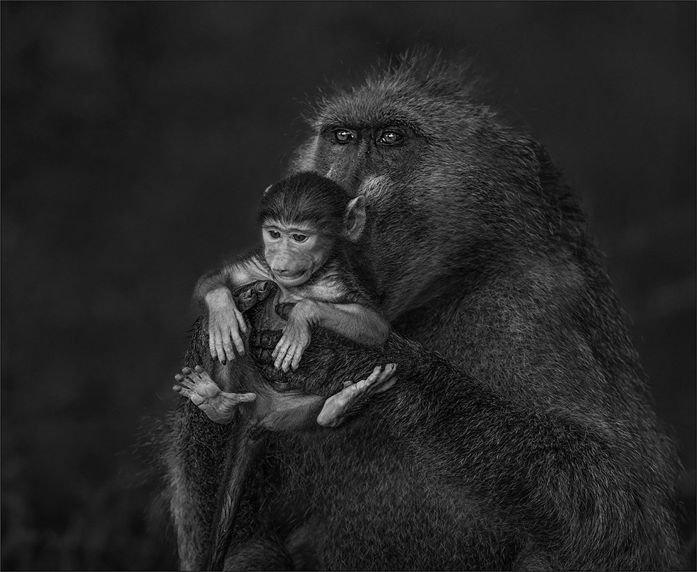 PSSA Silver -Open Mono Digital -in a fathers eyes - Jannes Drotsky - Bethal