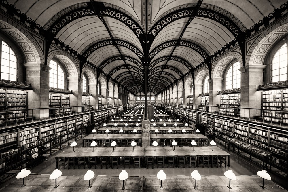 PSSA Silver -Open Mono Print -The Reading Room - Kim Stevens - Cape Town