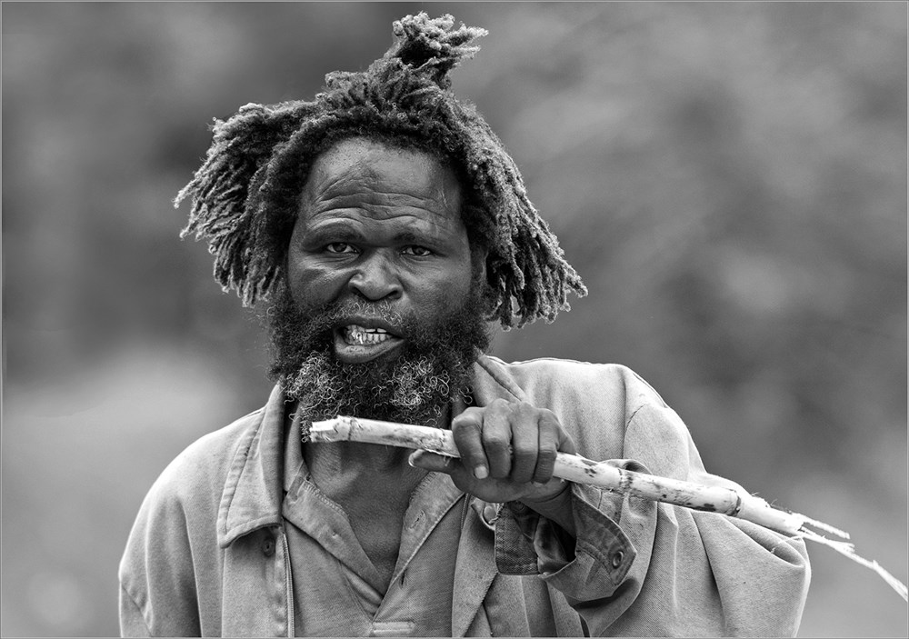 Sandton Silver -PJSport Travel  Street Mono Digital -The sugar cane man - Jacques Sellschop - Hibiscus
