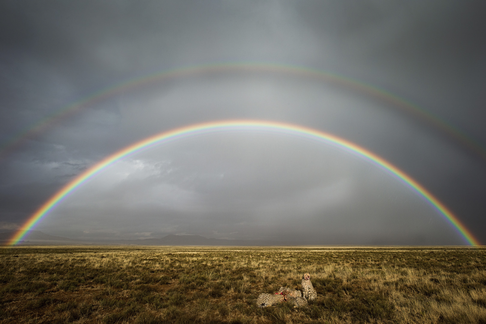 Kim Stevens Karoo Thunderstorm
