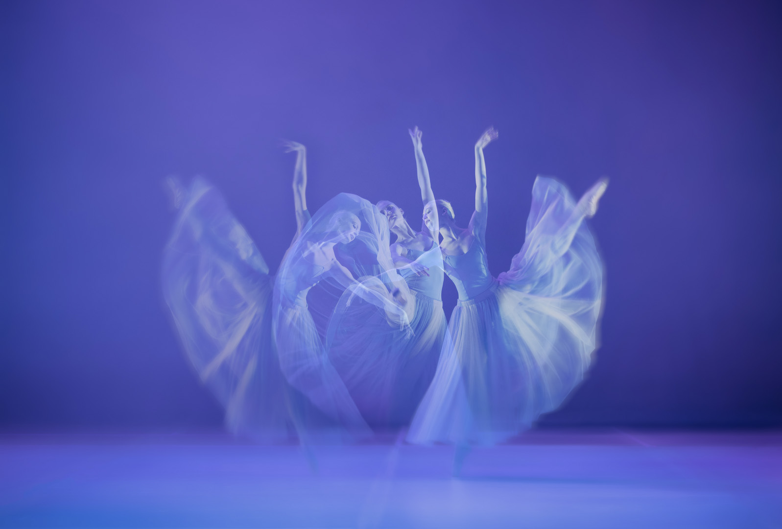 Kim Stevens Moonlit Serenade