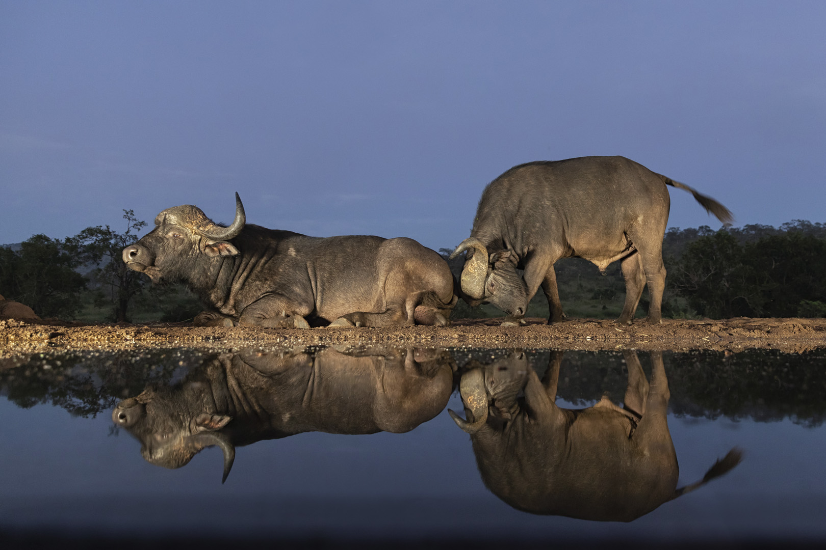 Kim Stevens Move your Butt