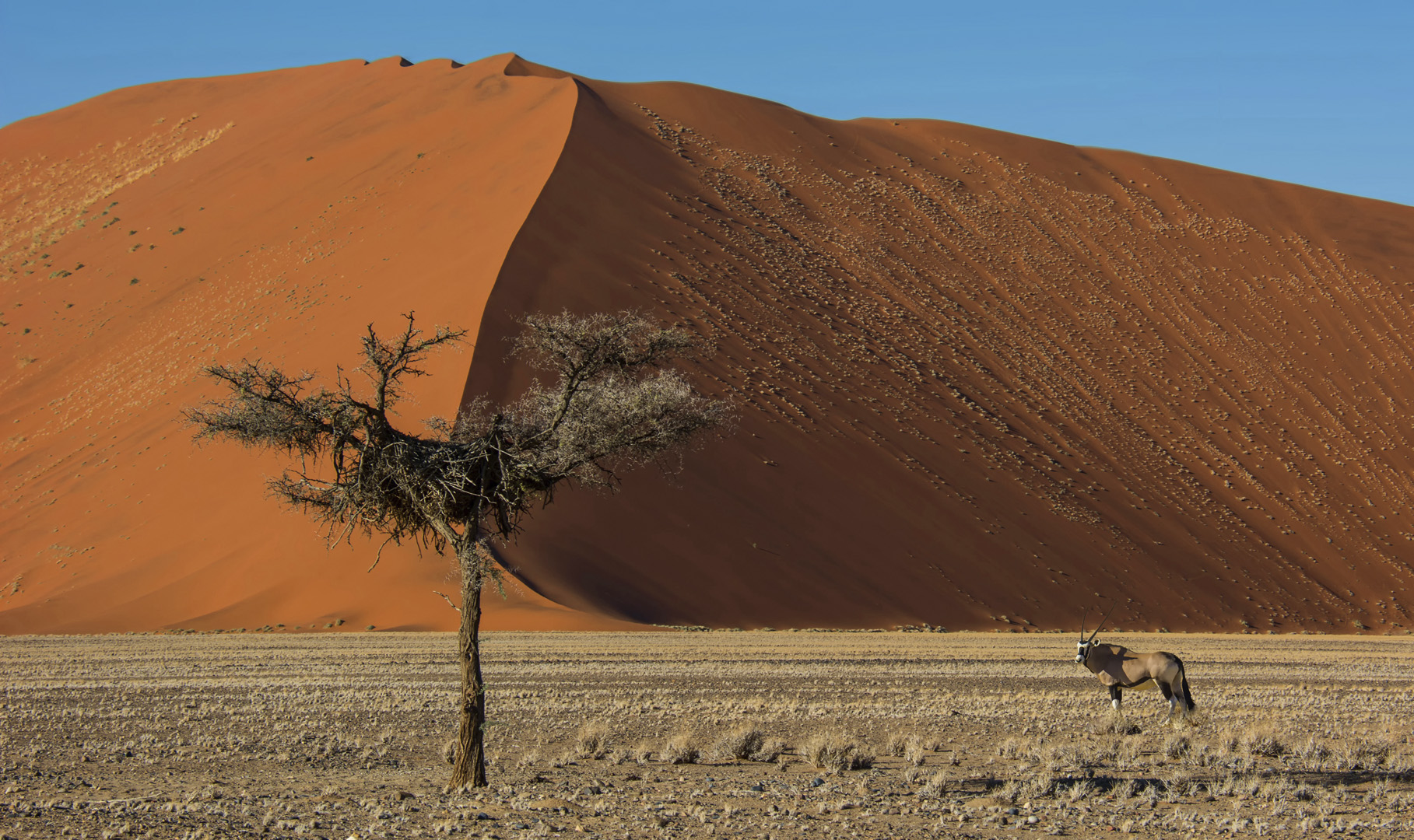 Marleen la Grange All alone at Namibia Dunes