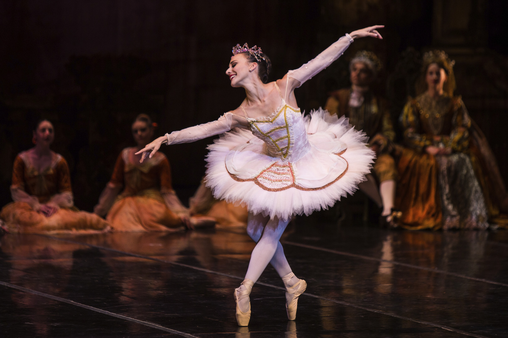 Nicol du Toit The dance of the beauty