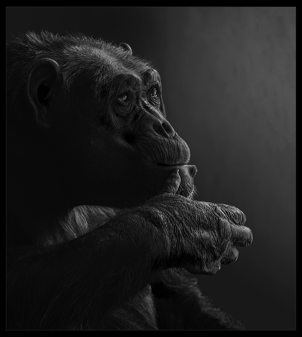 PSSA Silver Medal-OPEN MONO-Somewhere Over the Rainbow-Martin Barber-Southern Suburbs Camera Club