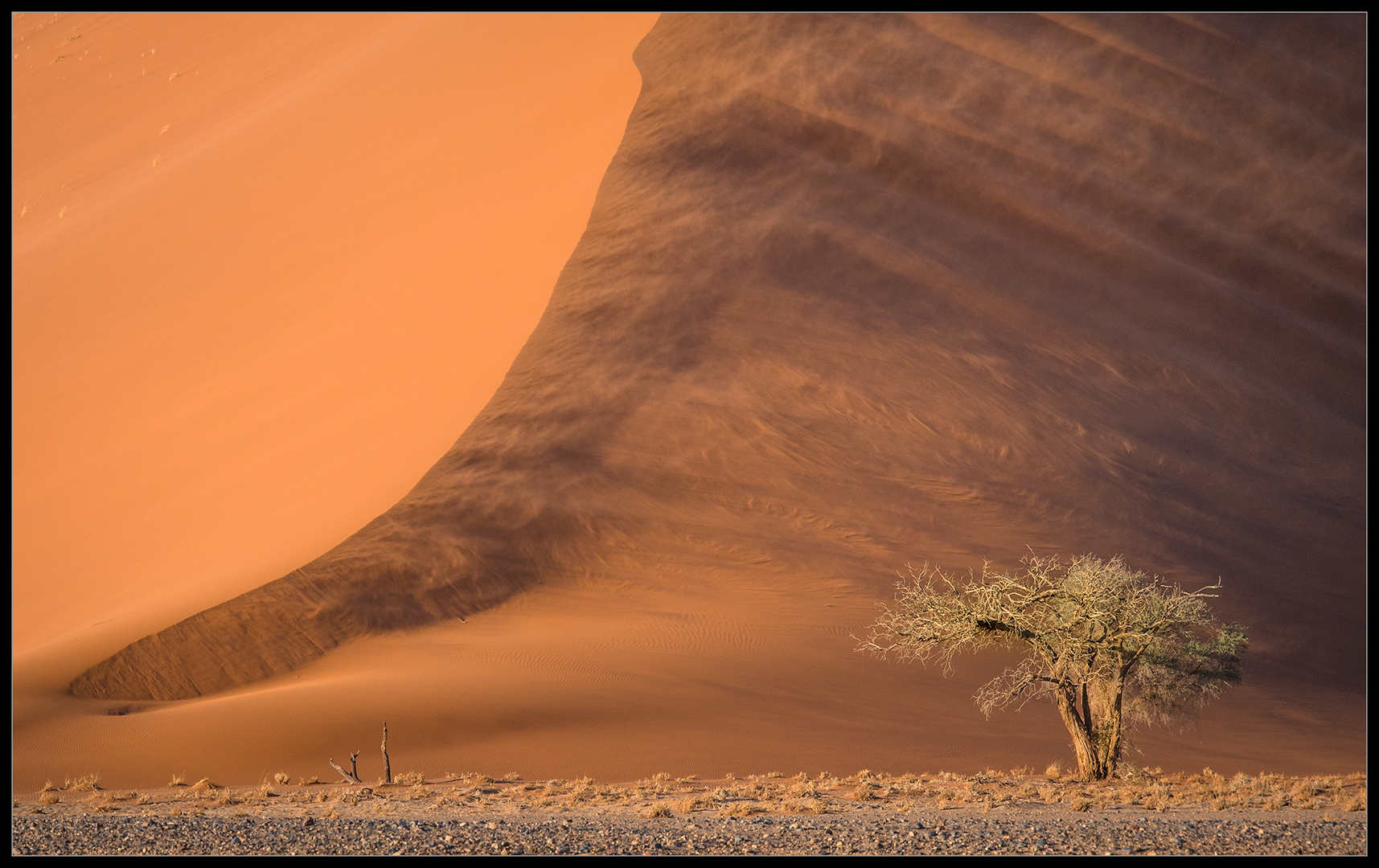 Swartland Silver - Scapes Colour - Sossus Dune - Madelein Nel - Harties