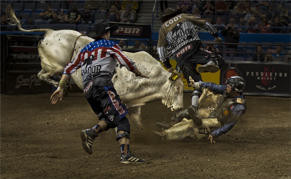 PSSA Silver - Sport Action - Rodeo Bull attack - Dries Fourie - Vereeniging Photographic Society