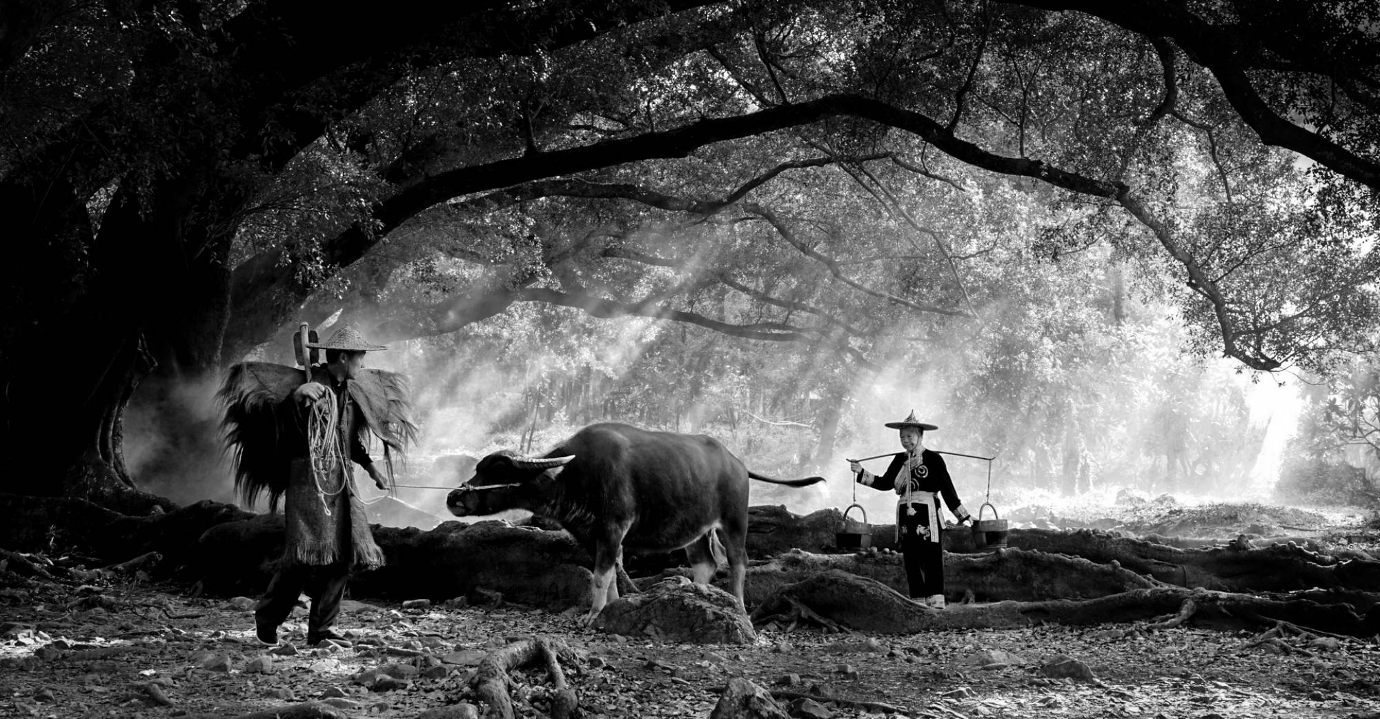 FIAP Gold Open Monochrome, Sherman Cheang, Macau, Follow My Husband