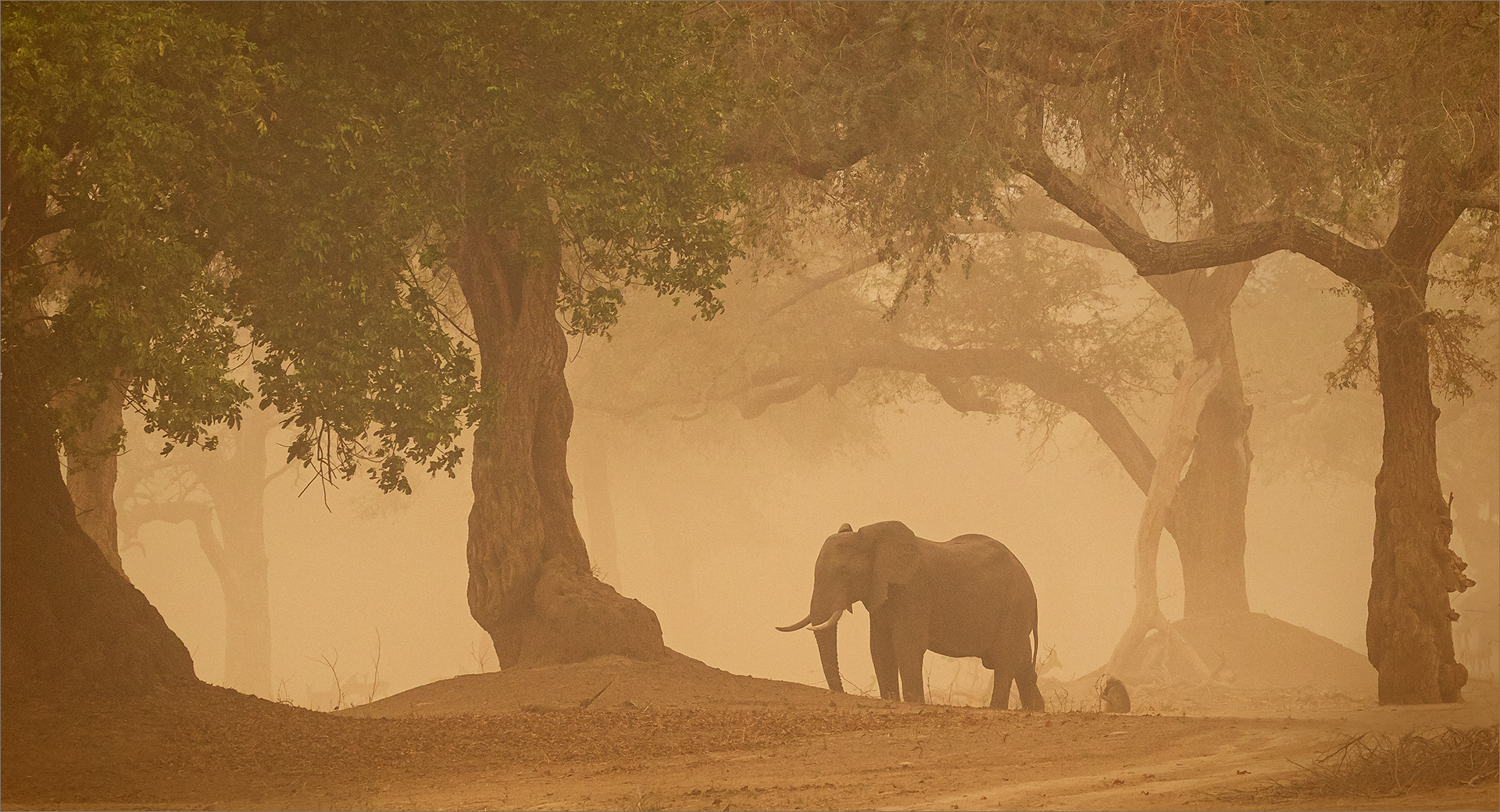 BCC Silver Medal-Scapes  Colour-Sandstorm in Mana Poele 0910 HD-Tokkie Labuschagne -Magalies Foto Fun Club